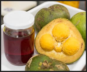 Pequi Fruit Oil - INS601 Pequi Fruit Oil - INS601